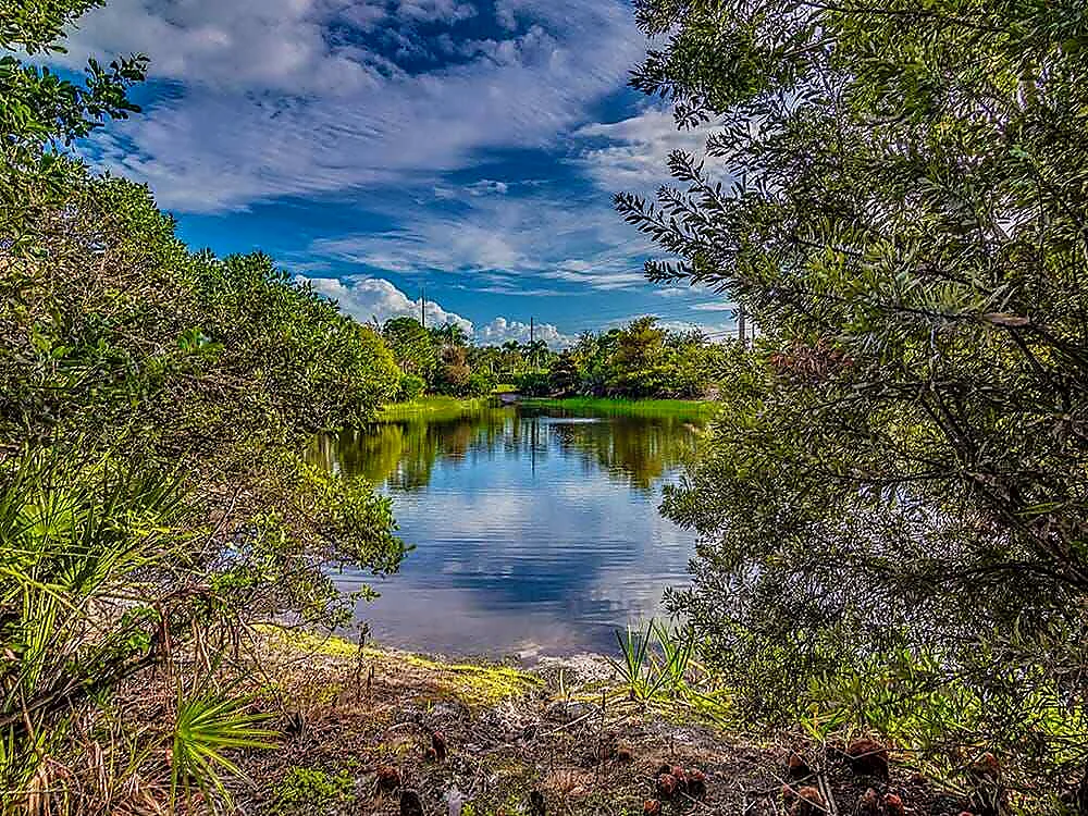 Pond and landscaping at Woodmill Pond